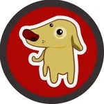 About Ben the Doggy Dude